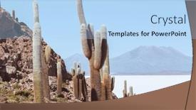  Presentation with flat - Colorful slide deck enhanced with big-cactus-on-incahuasi-island backdrop and a light blue colored foreground