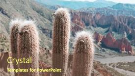  Presentation with solar - PPT theme enhanced with big-cactus-on-incahuasi-island background and a  colored foreground