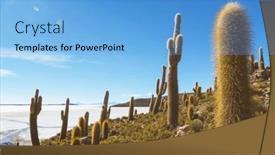  Presentation with cactus - Presentation theme enhanced with big-cactus-on-incahuasi-island background and a  colored foreground