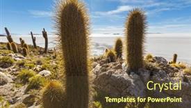  Presentation with cactus - PPT theme featuring big-cactus-on-incahuasi-island and a tawny brown colored foreground