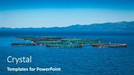  Presentation with farming - PPT theme with big-cages-for-fish-farming background and a ocean colored foreground