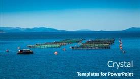  Presentation with farming - Beautiful slide set featuring big-cages-for-fish-farming backdrop and a ocean colored foreground