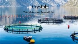  Presentation with cage - Beautiful PPT theme featuring big cages for fish farming backdrop and a light blue colored foreground