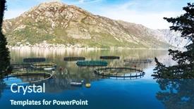  Presentation with cage - PPT theme having big cages for fish farming background and a ocean colored foreground