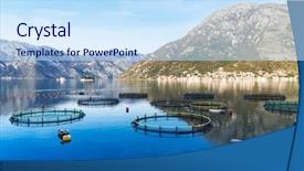  Presentation with farming - Slides enhanced with big cages for fish farming background and a sky blue colored foreground