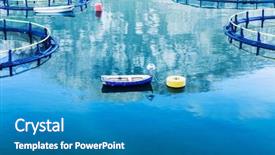  Presentation with farming - Presentation theme having big cages for fish farming background and a teal colored foreground