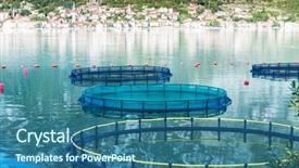  Presentation with farming - PPT theme enhanced with big cages for fish farming background and a ocean colored foreground