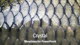  Presentation with scales of justice - Presentation featuring big carp scales close up background and a dark gray colored foreground