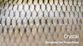  Presentation with tilted scales - PPT layouts featuring big carp scales close up background and a coral colored foreground