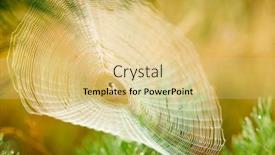  Presentation with light rays - Presentation design featuring big-cowweb-among-blades background and a yellow colored foreground