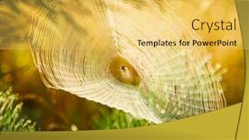  Presentation with spider web - Cool new slide set with big-cowweb-among-blades backdrop and a yellow colored foreground