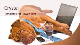  Presentation with dream - Presentation design enhanced with big dream - hardworker fell asleep background and a lemonade colored foreground