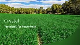  Presentation with israel - Slide deck featuring big-edge-of-the-forest background and a forest green colored foreground