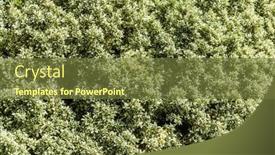  Presentation with nature - Slide set featuring big-ficus-shrubs-nature-background background and a tawny brown colored foreground