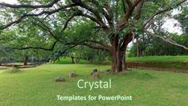  Presentation with sigiriya - Colorful slides enhanced with big ficus tree in sigiriya garden backdrop and a tawny brown colored foreground