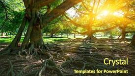  Presentation with sri lanka - Cool new PPT theme with big ficus trees in gaeden backdrop and a tawny brown colored foreground