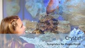  Presentation with fish aquarium - Beautiful PPT theme featuring big fish swimming in aquarium backdrop and a light blue colored foreground