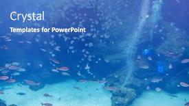  Presentation with water tank - PPT theme consisting of big-fish-water-tank background and a teal colored foreground