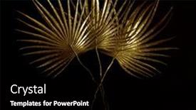  Presentation with black and gold - Colorful presentation theme enhanced with big-golden-leaf-on-black backdrop and a black colored foreground