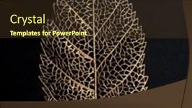  Presentation with golden - Cool new PPT theme with big-golden-leaf-on-black backdrop and a tawny brown colored foreground