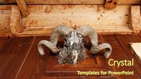  Presentation with mounted mount etna volcano - Amazing slide set having big horn sheep - animal head trophy mounted backdrop and a tawny brown colored foreground