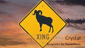  Presentation with caution - Cool new theme with big horn sheep crossing caution backdrop and a gold colored foreground