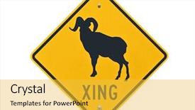  Presentation with caution - Colorful PPT theme enhanced with big horn sheep crossing caution backdrop and a  colored foreground