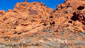  Presentation with nevada desert - Slide deck enhanced with big-horn-sheep-roam background and a coral colored foreground