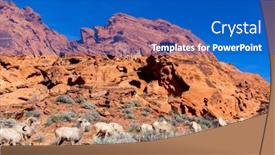  Presentation with nevada desert - Slide set consisting of big-horn-sheep-roam background and a cobalt blue colored foreground