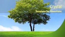  Presentation with green technology ithink map - Colorful theme enhanced with big maple tree on green backdrop and a tawny brown colored foreground