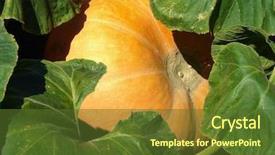  Presentation with max - Theme consisting of big max pumpkin growing background and a tawny brown colored foreground