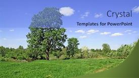  Presentation with oak - Amazing presentation theme having big oak near roads backdrop and a light blue colored foreground