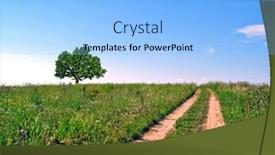  Presentation with oak - Presentation having big oak on field near old road background and a light blue colored foreground