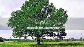  Presentation with oak - Colorful PPT theme enhanced with big-oak-on-green-field backdrop and a tawny brown colored foreground