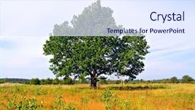  Presentation with oak woodland uk - Beautiful presentation theme featuring big oak on yellow field backdrop and a  colored foreground