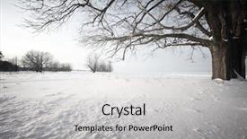  Presentation with oak tree - Beautiful PPT theme featuring big oak tree backdrop and a light gray colored foreground