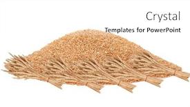  Presentation with wheat - Cool new presentation with big-pile-of-grain backdrop and a  colored foreground