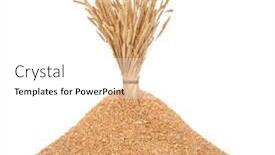  Presentation with wheat - Slides consisting of big-pile-of-wheat background and a  colored foreground