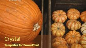  Presentation with pumpkin seeds as pumpkin - Amazing slides having big-pumpkin-little-pumpkins backdrop and a tawny brown colored foreground