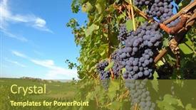  Presentation with vineyards - Colorful presentation enhanced with potter working with clay bowl on potters wheel backdrop and a tawny brown colored foreground