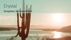 Presentation with saguaro - Beautiful slide deck featuring big-saguaro-cactus backdrop and a mint green colored foreground