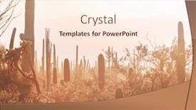  Presentation with saguaro - Presentation theme consisting of big-saguaro-cactus background and a  colored foreground