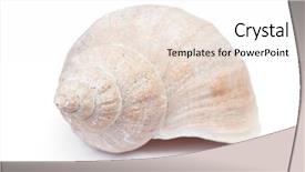  Presentation with seashell - Audience pleasing slide deck consisting of big seashell in close-up backdrop and a sky blue colored foreground