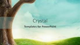  Presentation with meadow - Colorful presentation theme enhanced with big-tree-in-the-meadow backdrop and a mint green colored foreground