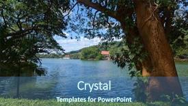  Presentation with cost - PPT theme consisting of big tree on a cost of pond in the city of kandy sri lanka background and a ocean colored foreground