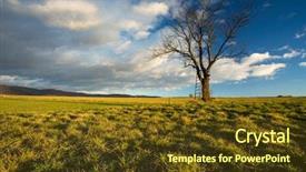  Presentation with frames blue green - Slides enhanced with big tree on green meadow background and a tawny brown colored foreground