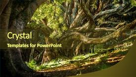  Presentation with old vs new - Cool new presentation theme with big trees in old park backdrop and a  colored foreground