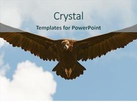 Big Vulture In Flight PPT template 82 | CrystalGraphics