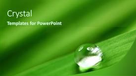  Presentation with drop - Cool new slides with big water drop backdrop and a forest green colored foreground