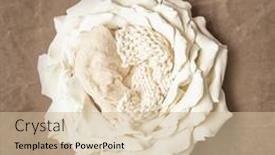  Presentation with newborn baby - Slide set having big-white-flower-as-digital background and a soft green colored foreground